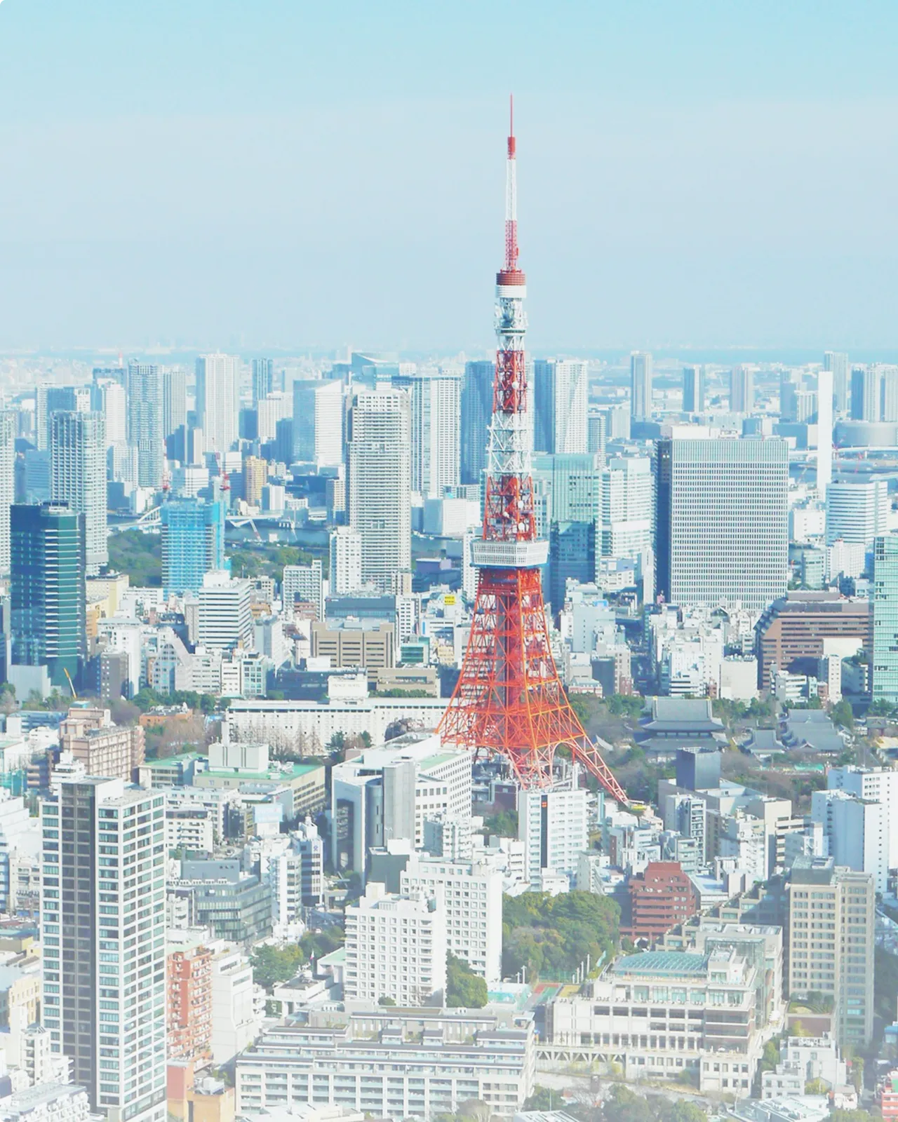 東京タワーの写真