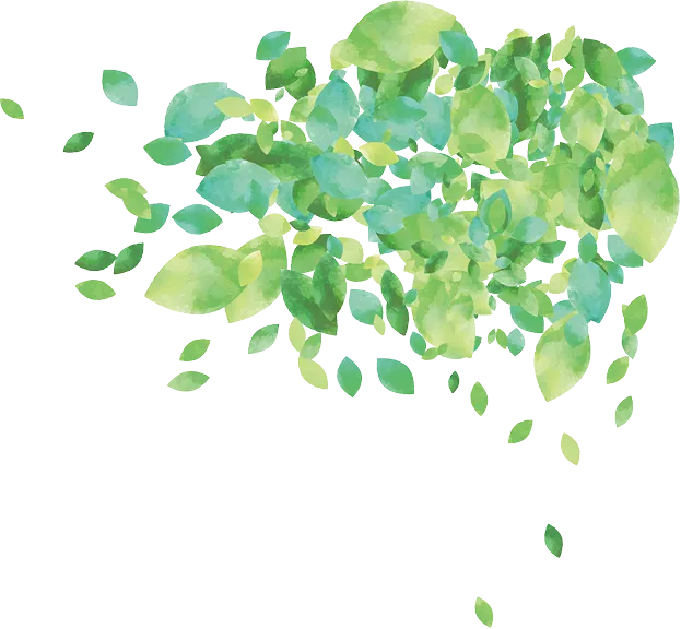 新緑の葉のイラスト